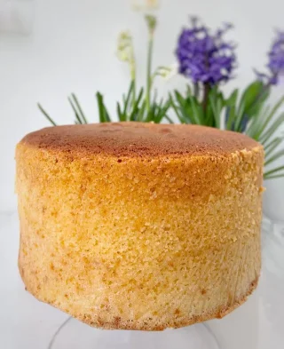 바닐라 스폰지 케이크