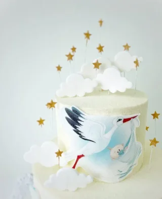 Stork of Dreams