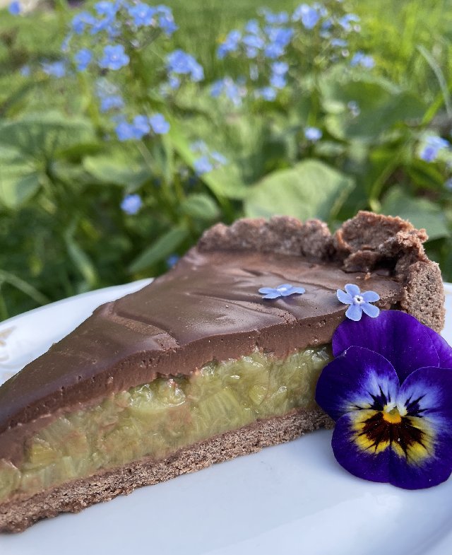 Chocolate-rhubarb tart