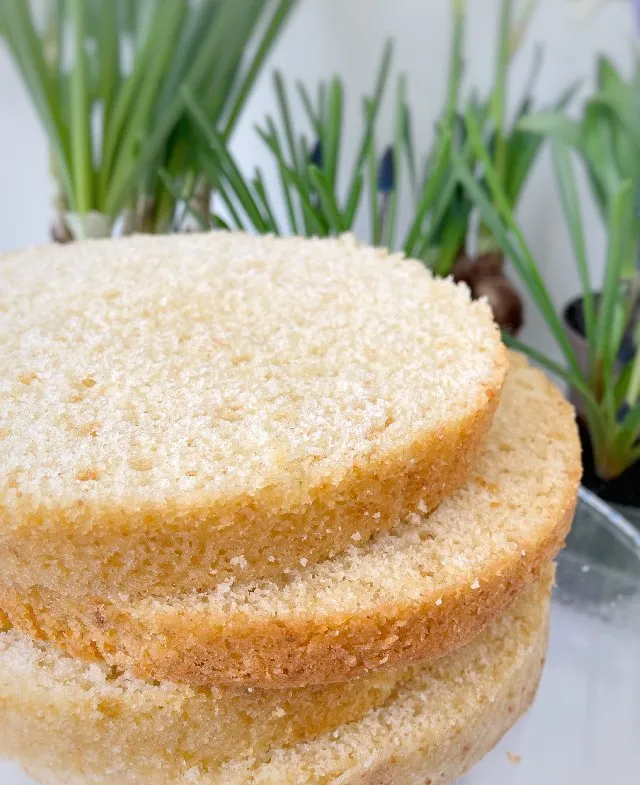 Vanilijeva torta sanj